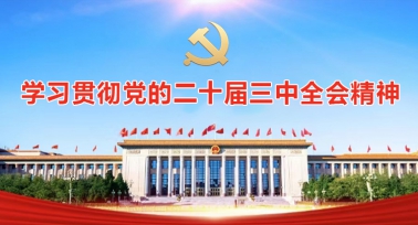 學(xué)習(xí)貫徹黨的二十屆三中全會(huì)精神