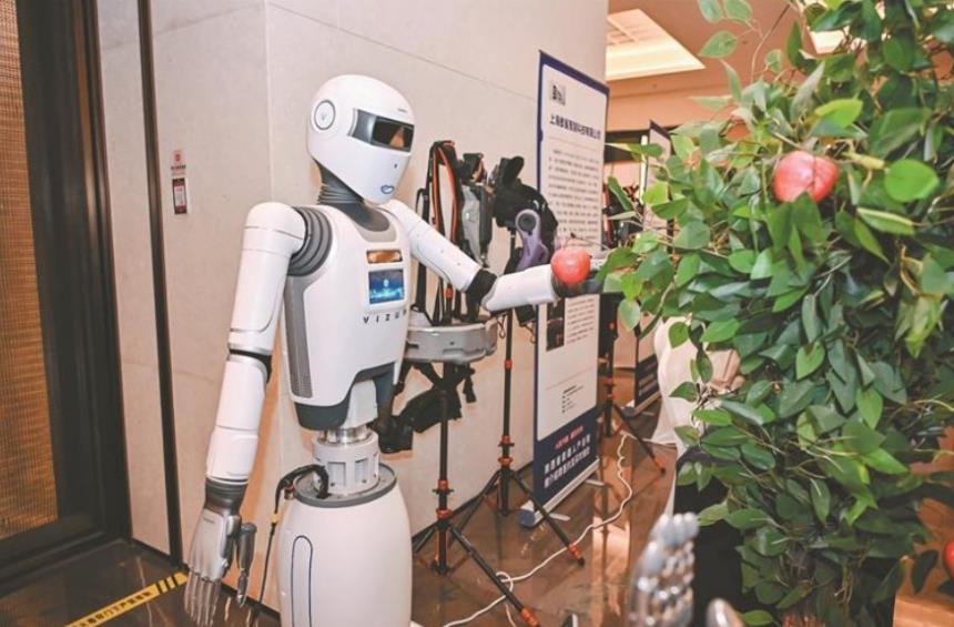 202511231159204802.jpg 1.jpg