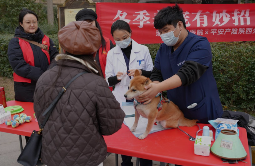 202512060205332882.jpg 4.jpg