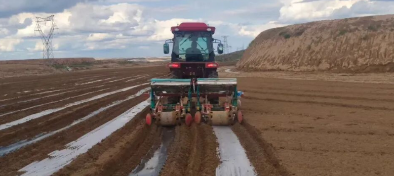 202512060232561110.jpg 2.jpg