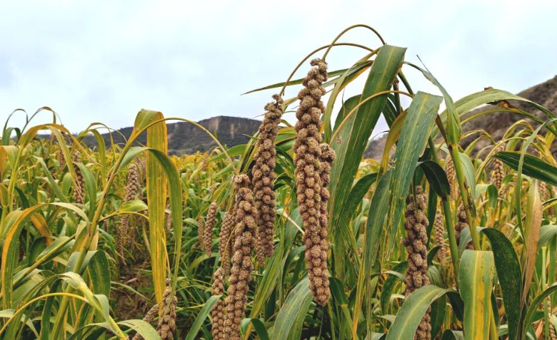 202512060233089152.jpg 3.jpg