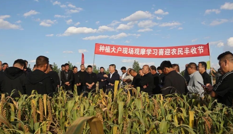 202512060233221203.jpg 4.jpg