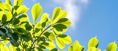 甲鈷胺怎么選不踩坑？專家力薦修復(fù)指南